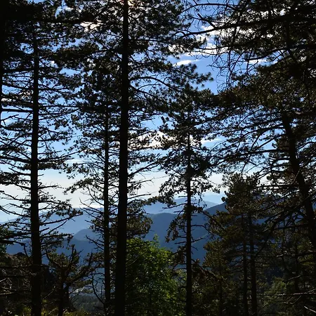 Séjour à la ferme Agriturismo Monte Pu'