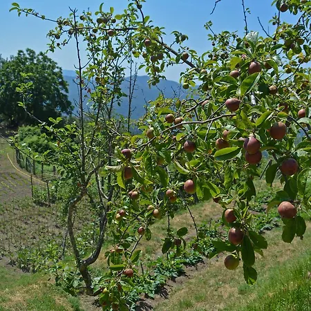 Agriturismo Monte Pu' Bauernhof