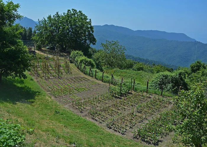 Agriturismo Monte Pu' * Castiglione Chiavarese